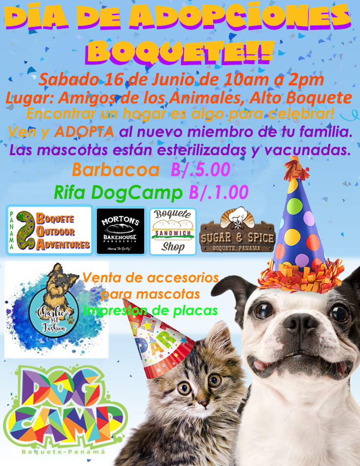 472783414_eventoadopcionjunio2018.jpg.d976b6a60786f003f9808c55b49dea94.jpg