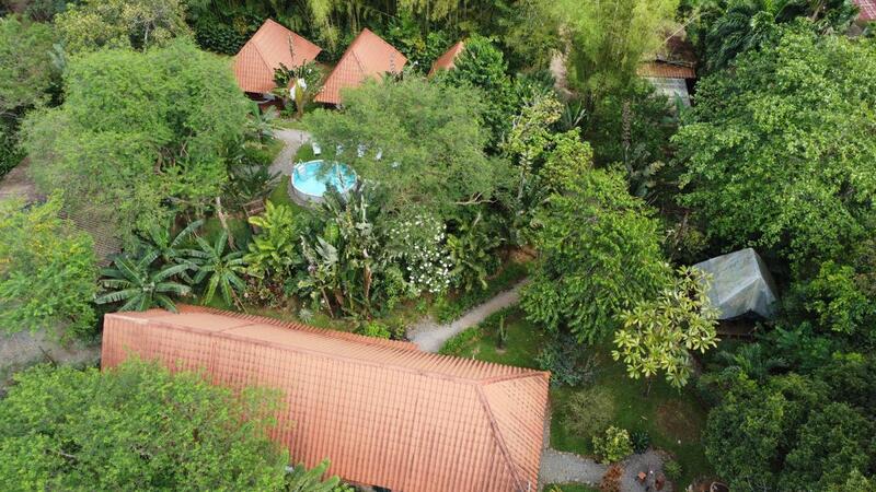 DJI_0009.JPG