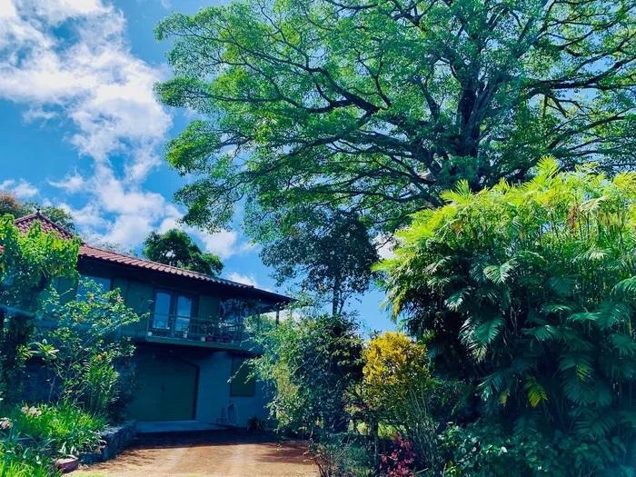 Fabulous Tropical Mountain Home In Jaramillo, Boquete For Sale Homes